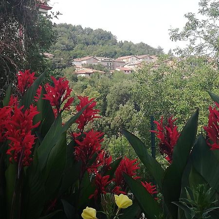 Agrifoglio B&B Con Giardino Aritzo Eksteriør billede
