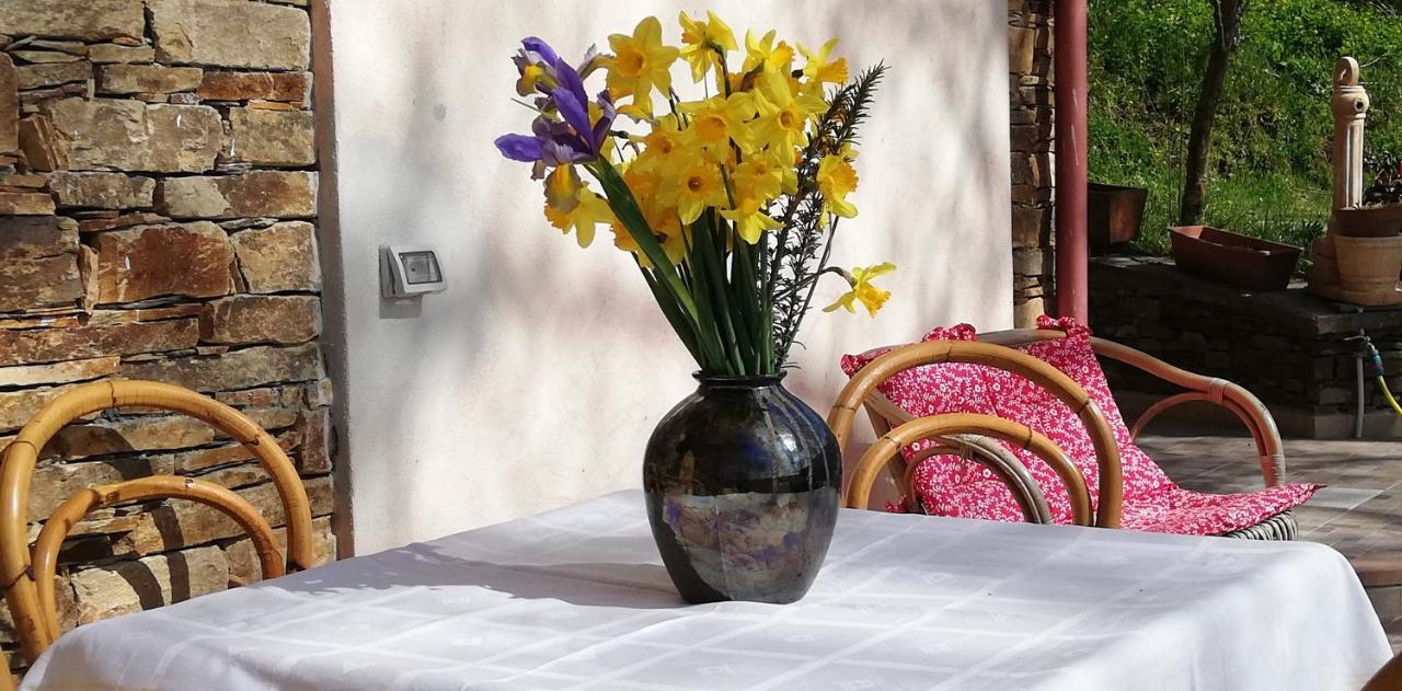 Agrifoglio B&B Con Giardino Aritzo Eksteriør billede