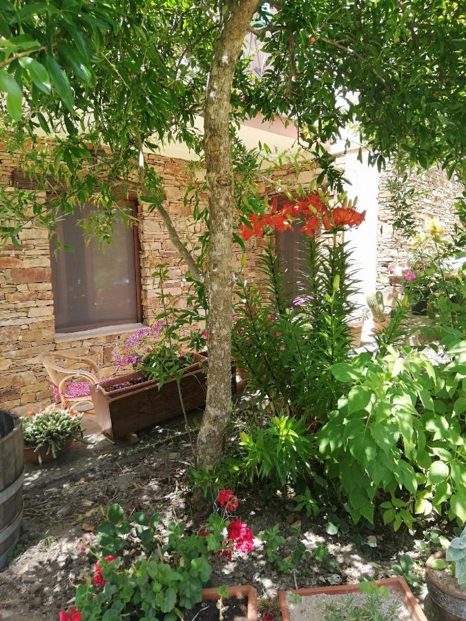 Agrifoglio B&B Con Giardino Aritzo Eksteriør billede
