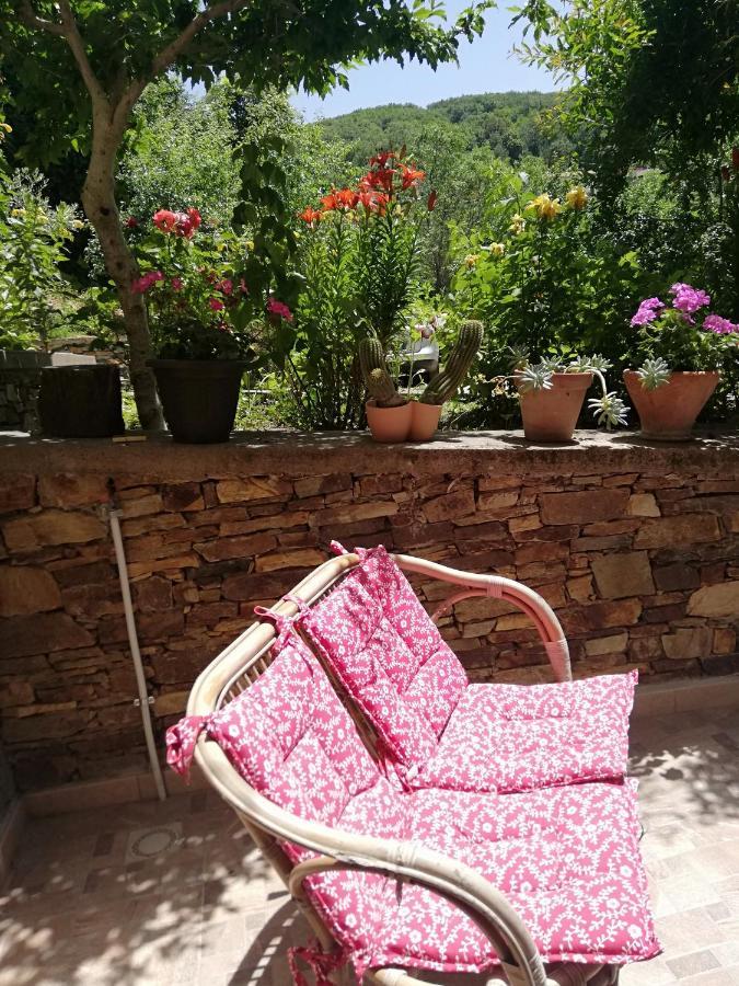 Agrifoglio B&B Con Giardino Aritzo Eksteriør billede
