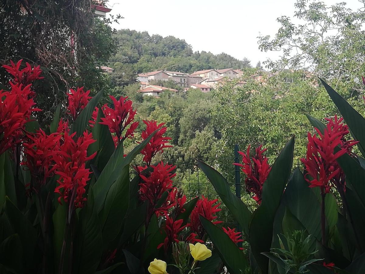 Agrifoglio B&B Con Giardino Aritzo Eksteriør billede