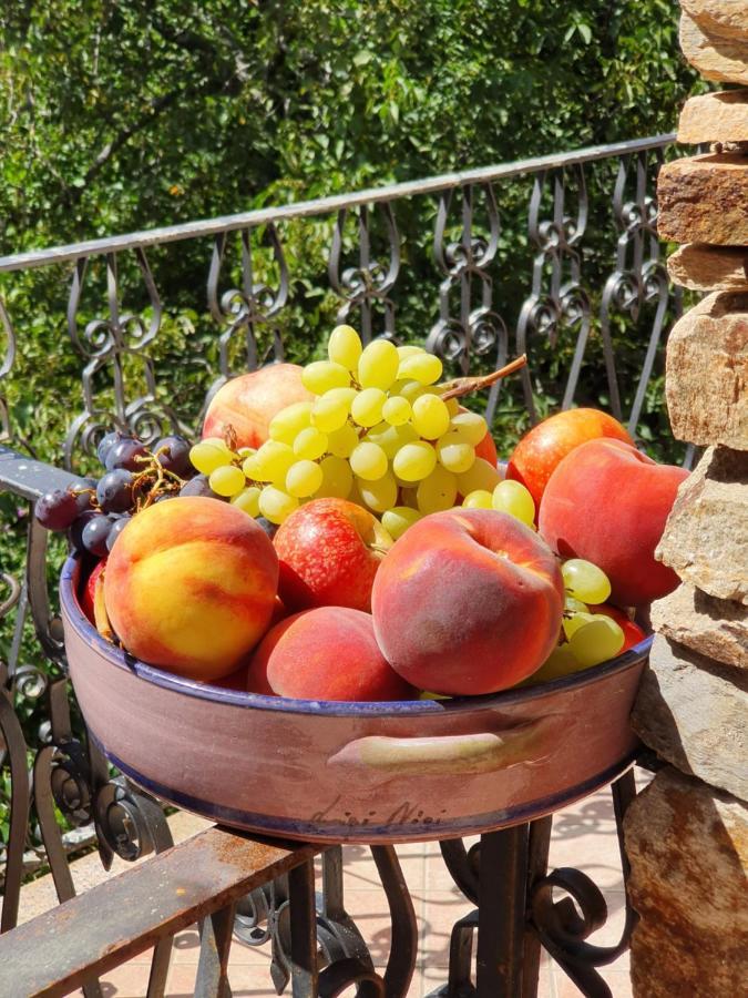 Agrifoglio B&B Con Giardino Aritzo Eksteriør billede