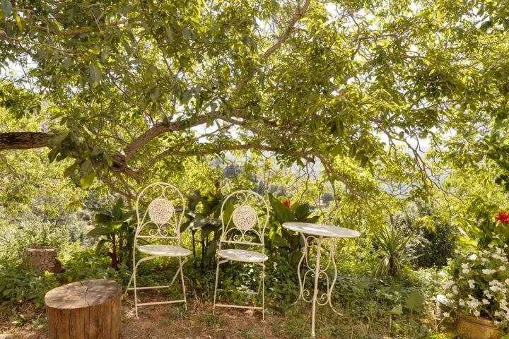 Agrifoglio B&B Con Giardino Aritzo Eksteriør billede