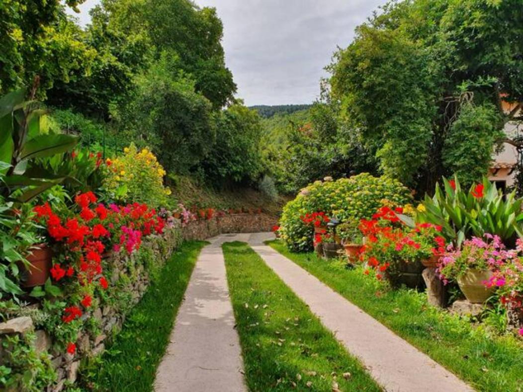 Agrifoglio B&B Con Giardino Aritzo Eksteriør billede